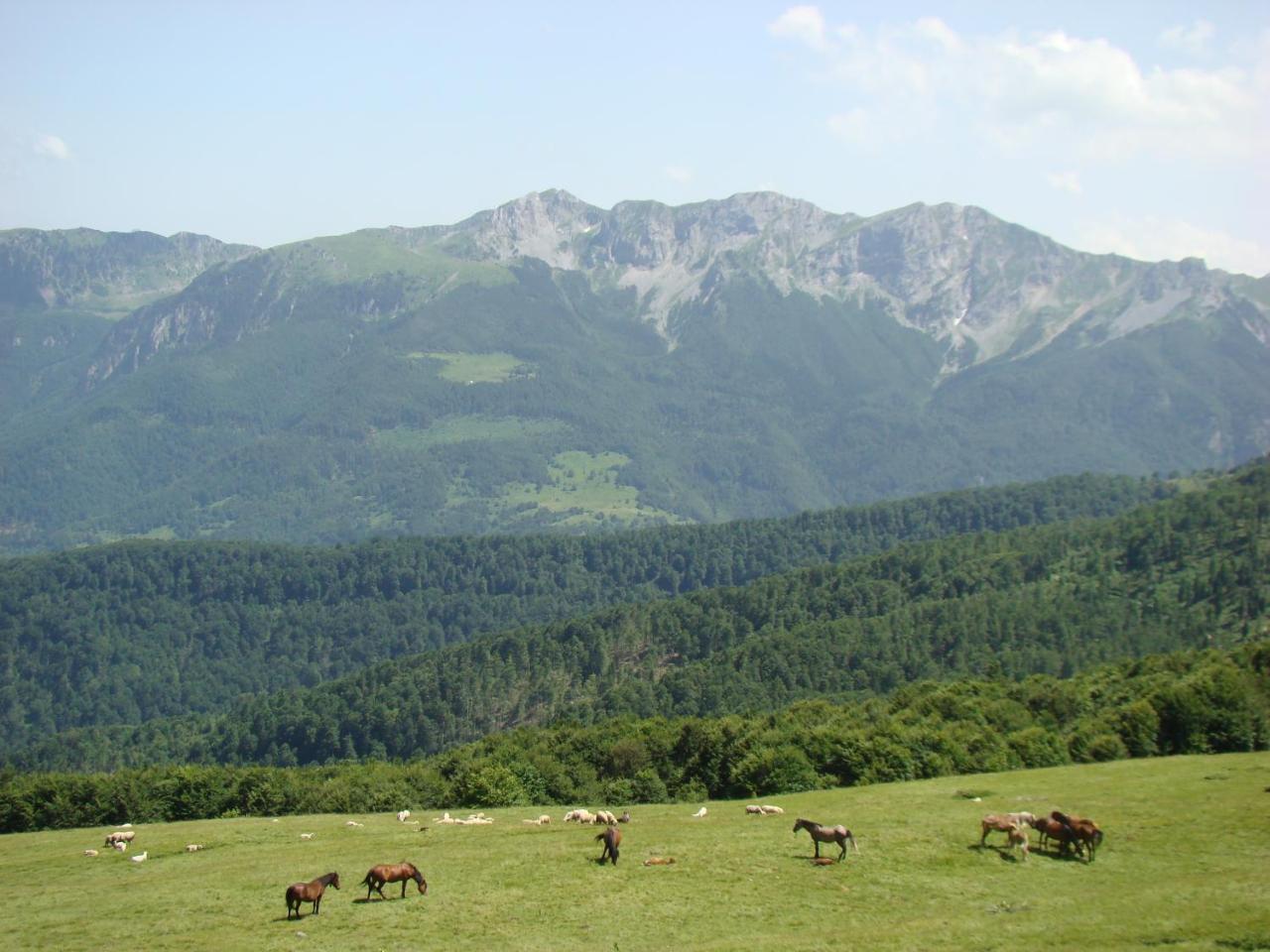 Komovi Eko Katun Villa Andrijevica Bagian luar foto