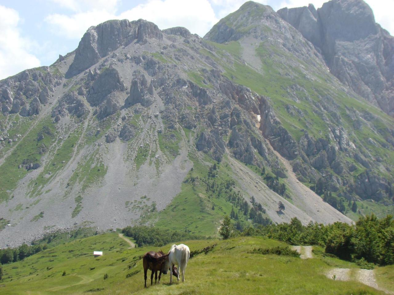 Komovi Eko Katun Villa Andrijevica Bagian luar foto