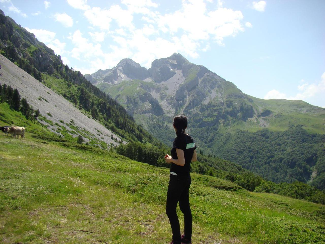 Komovi Eko Katun Villa Andrijevica Bagian luar foto